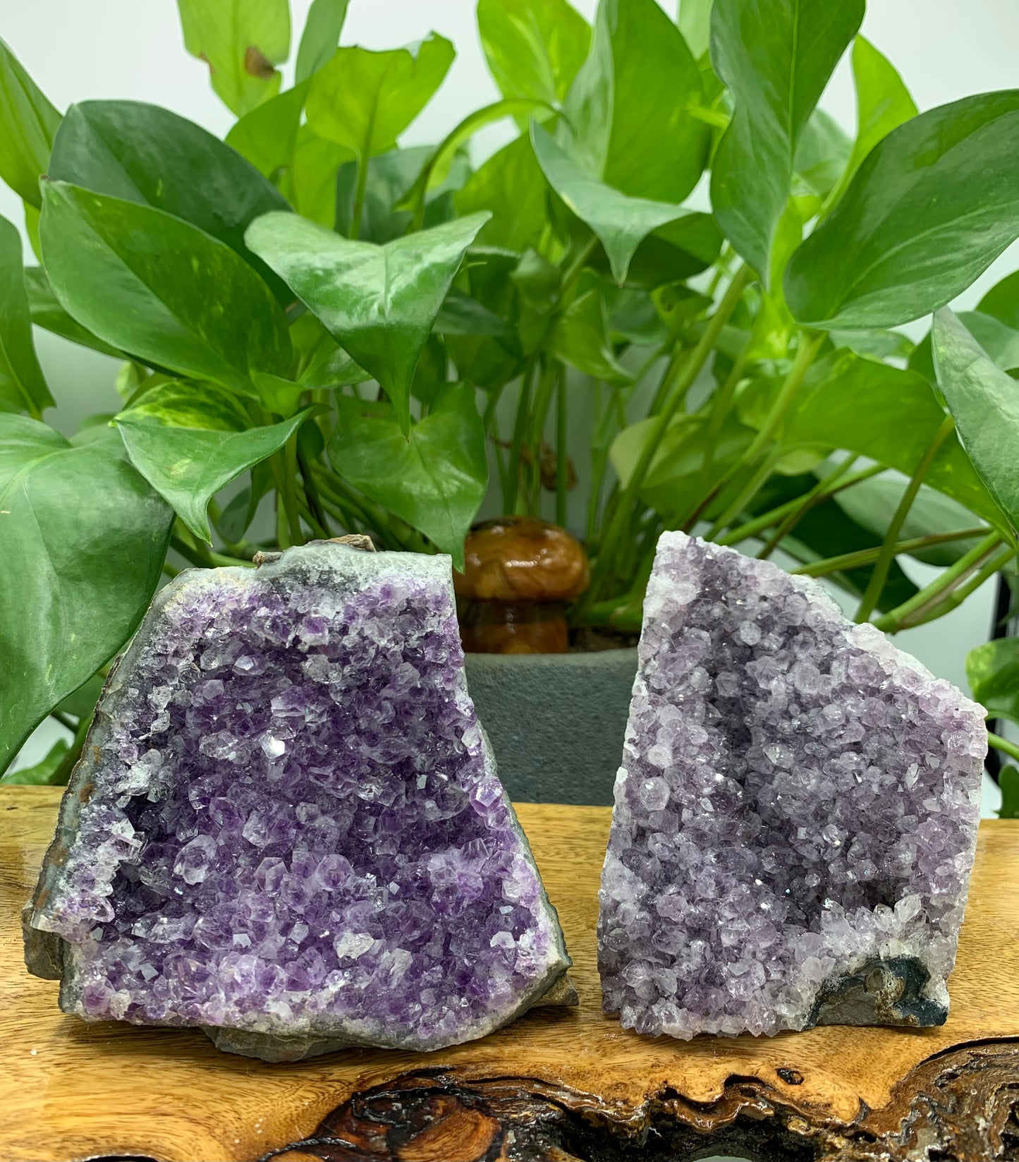 Amethyst Cut Base - Mystery Pick