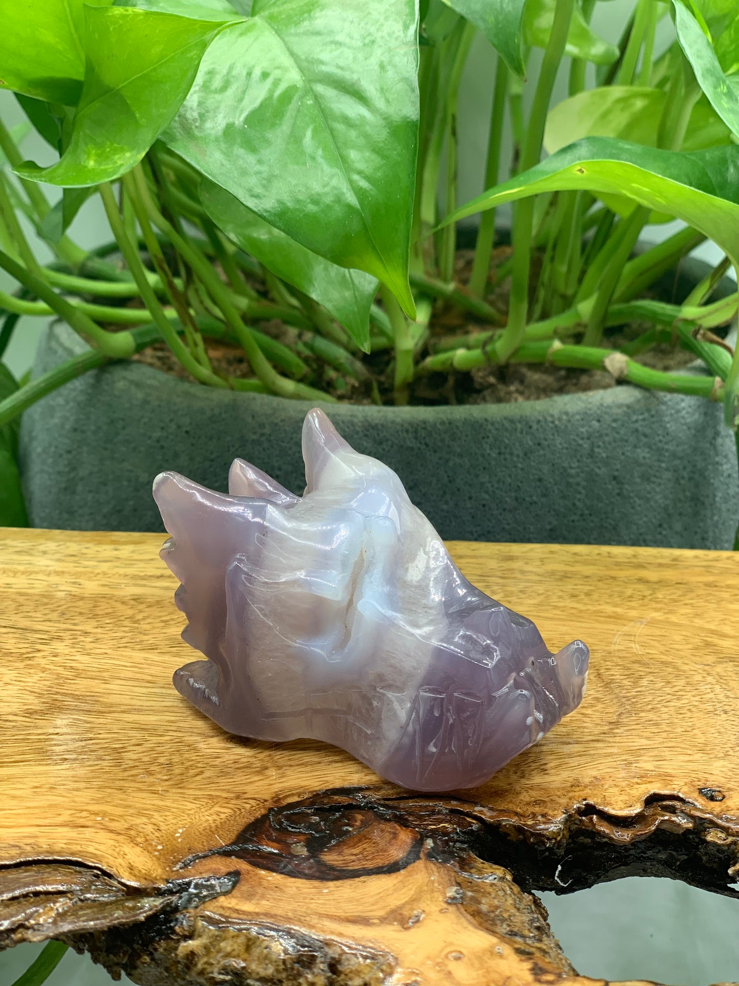 Dragon Carving Agate