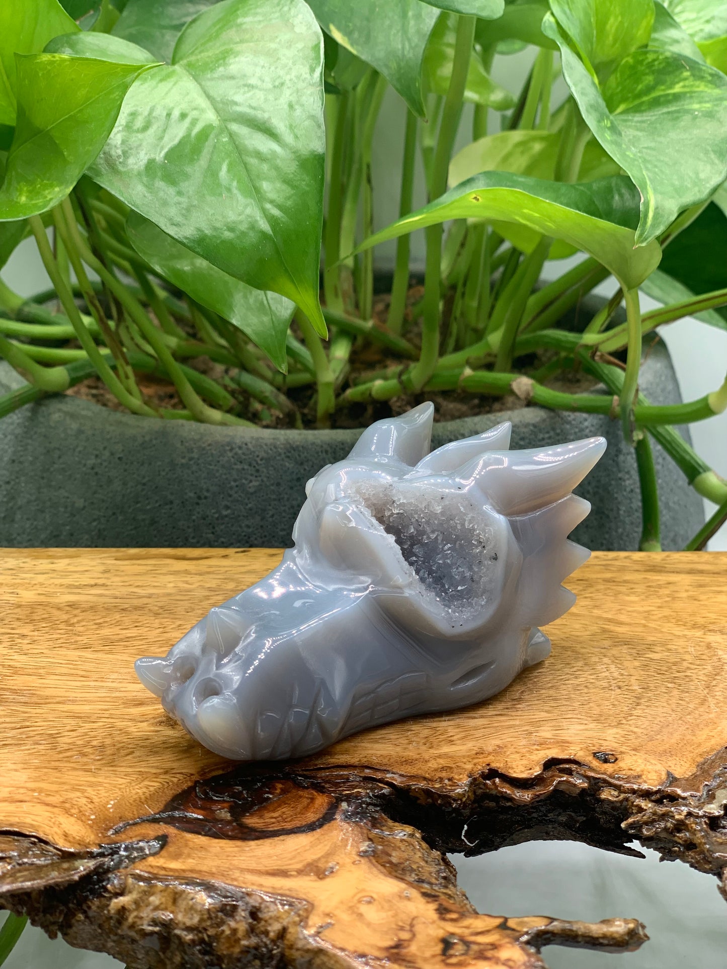 Dragon Carving Agate