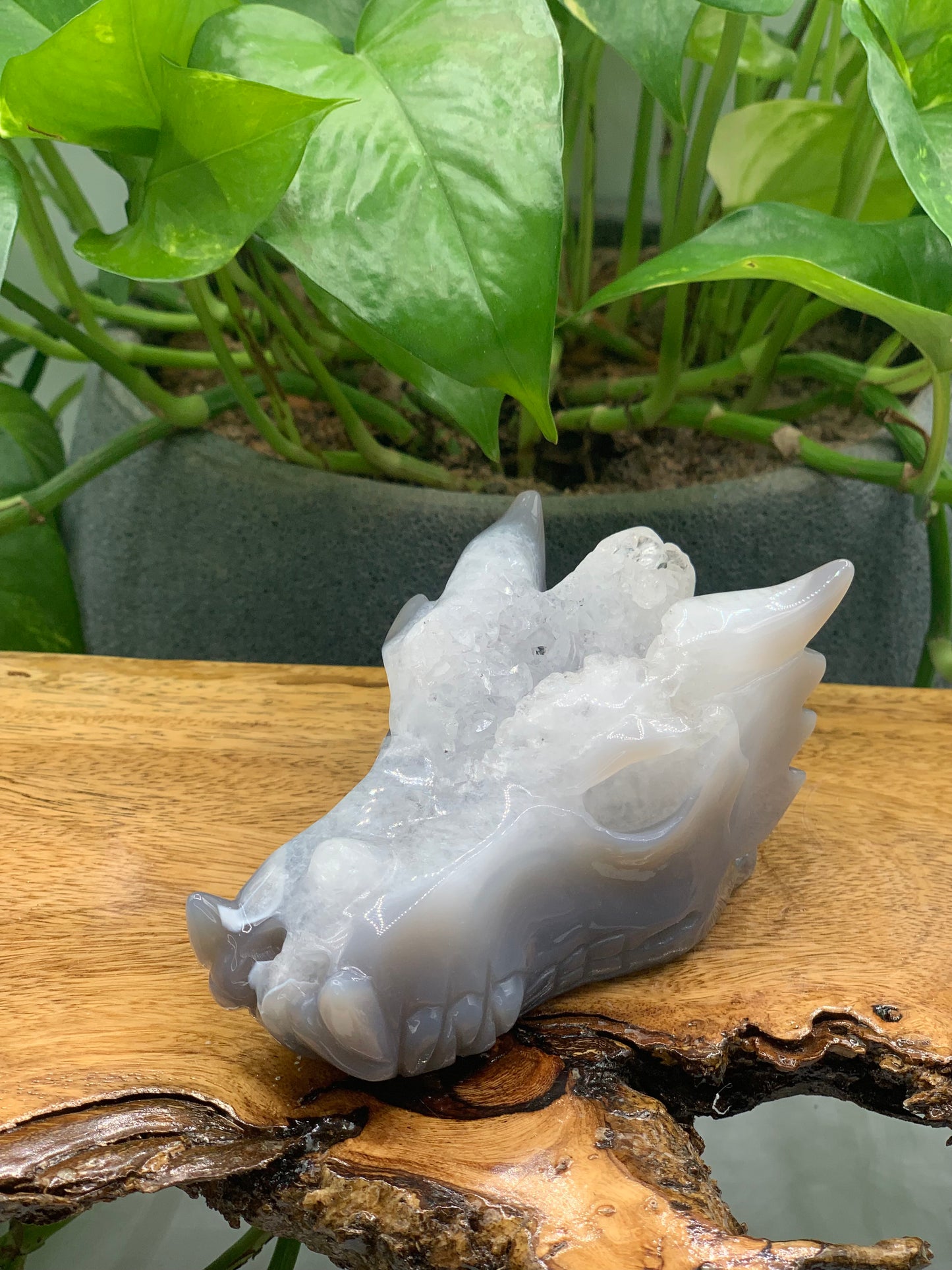 Dragon Carving Agate