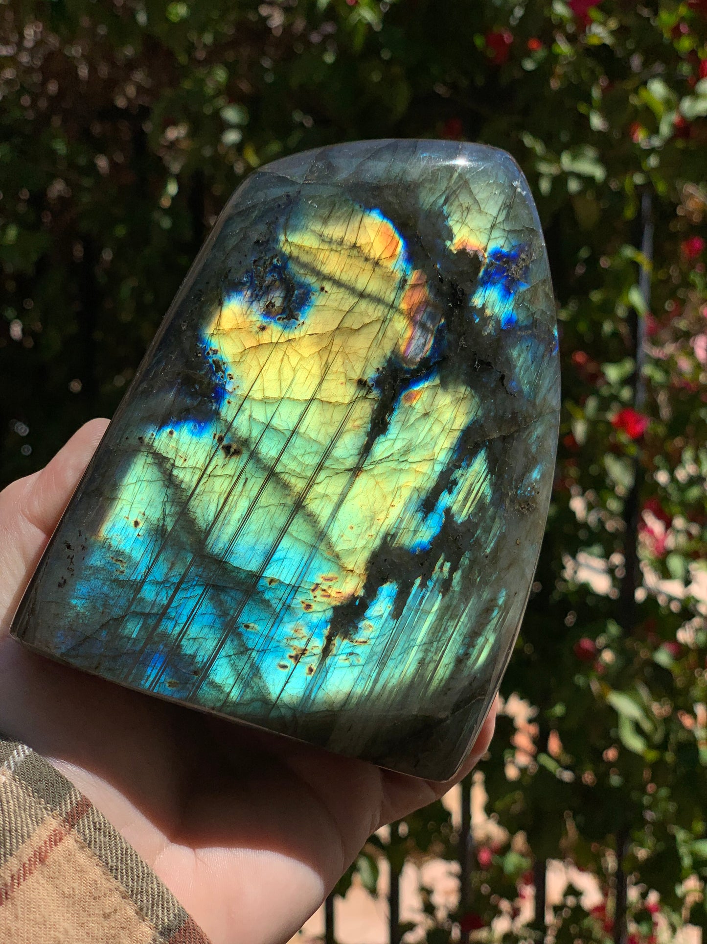 Labradorite Freeform