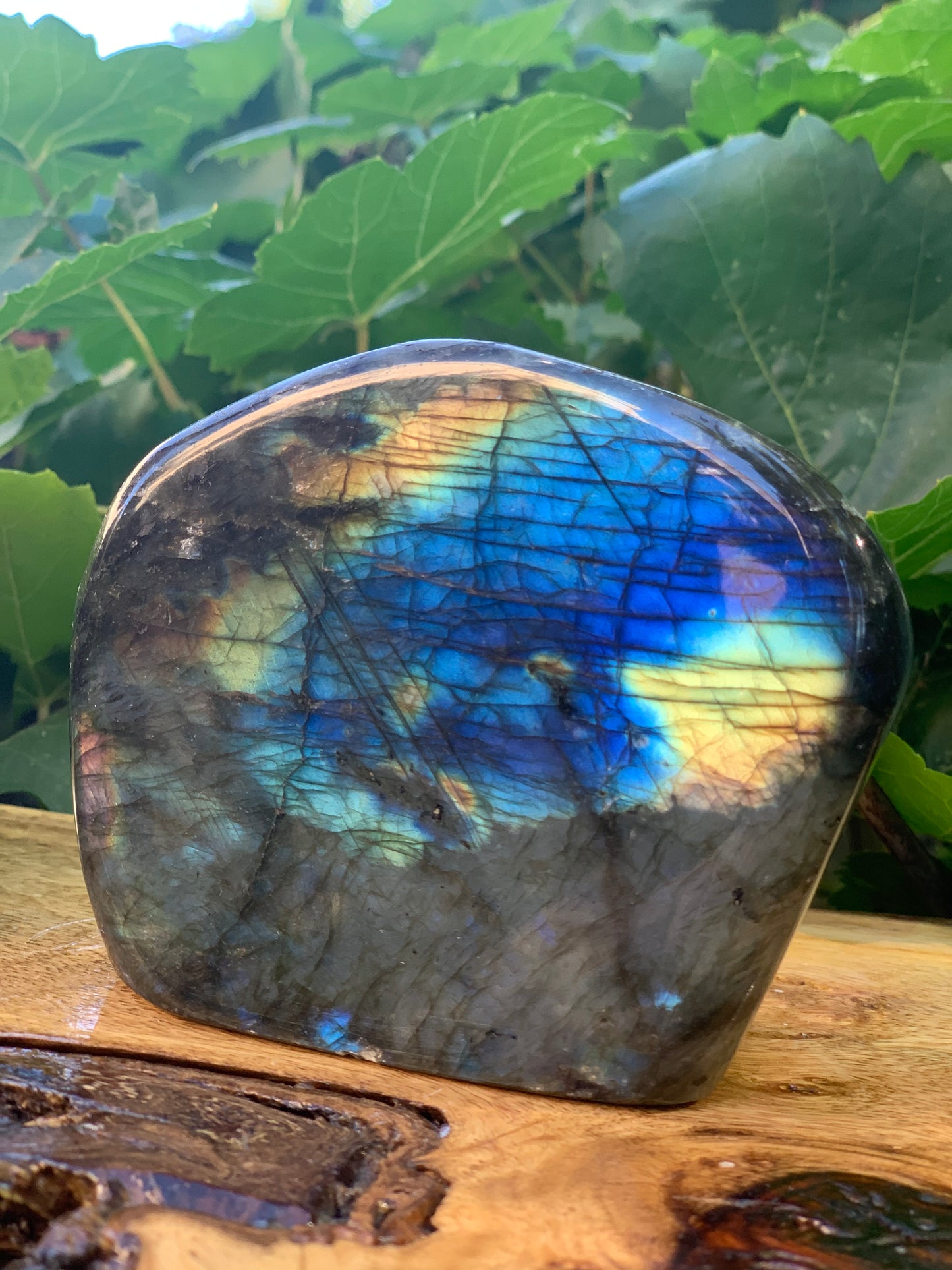 Labradorite Freeform