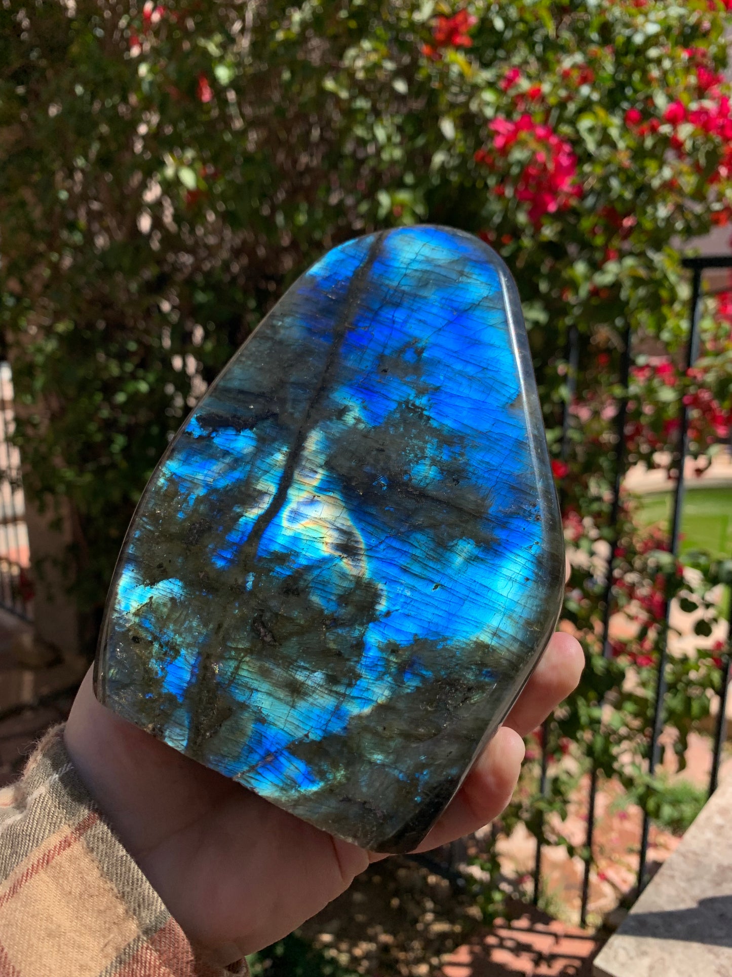 Labradorite Freeform