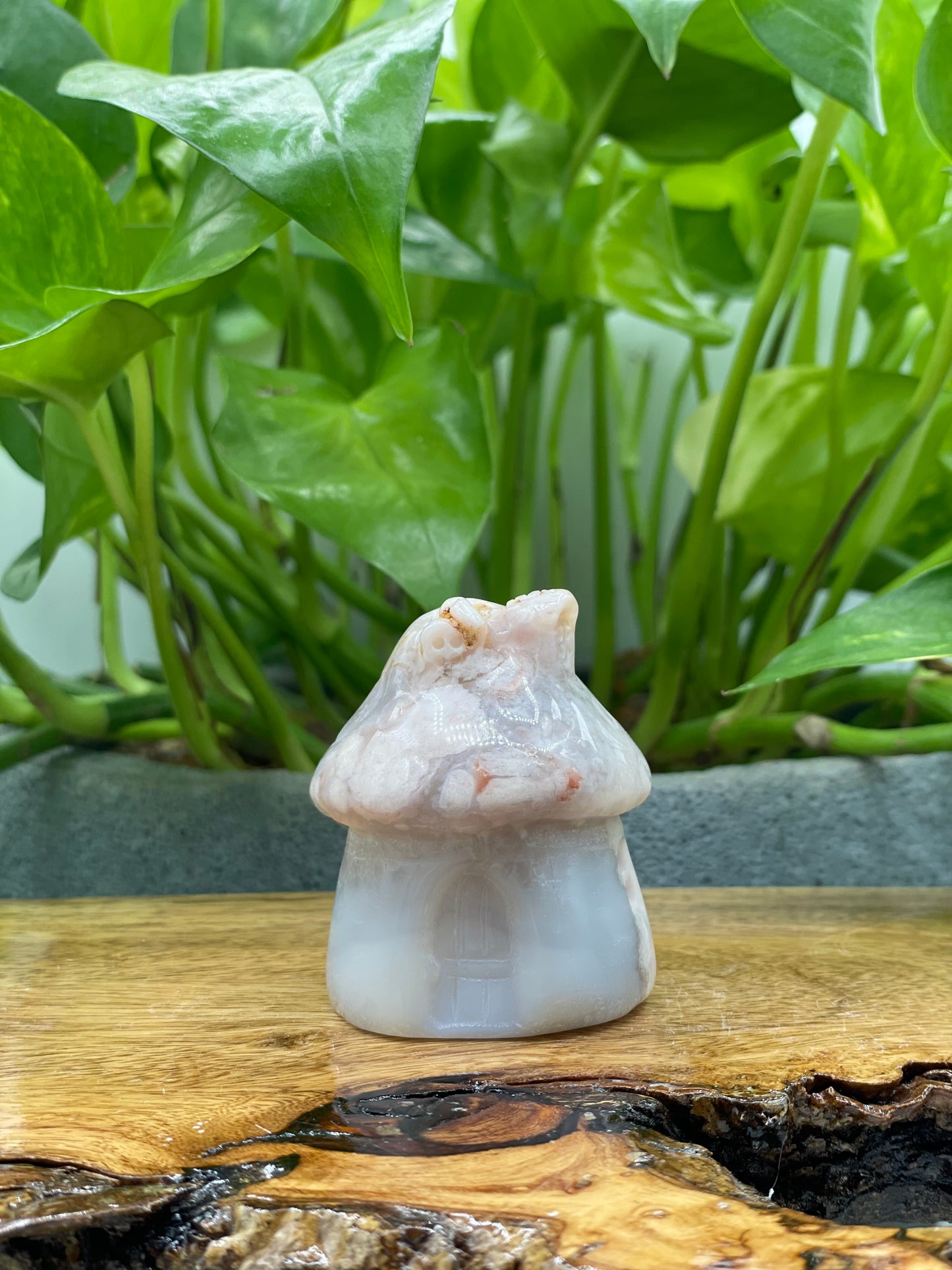 Flower Agate Mushroom House