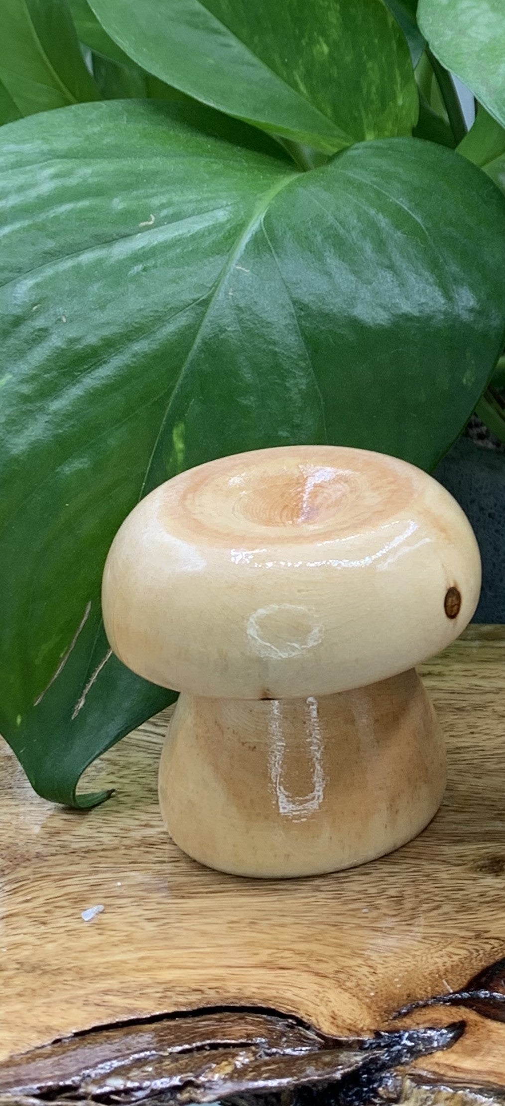 Wooden Mushroom Sphere Stand