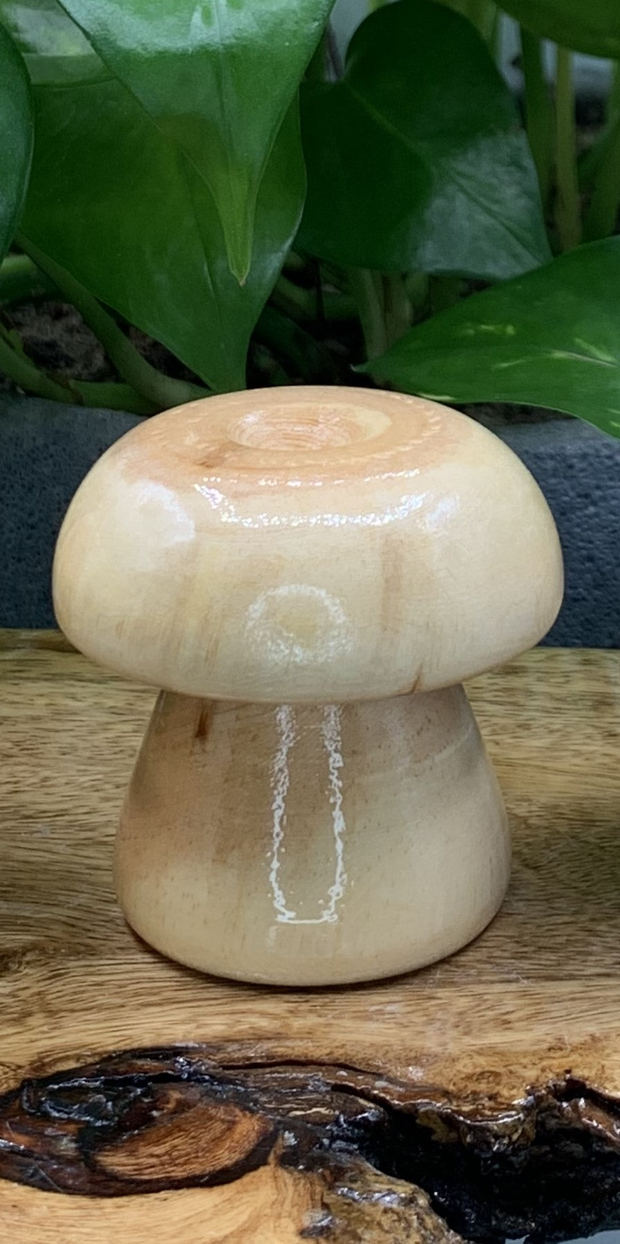 Wooden Mushroom Sphere Stand