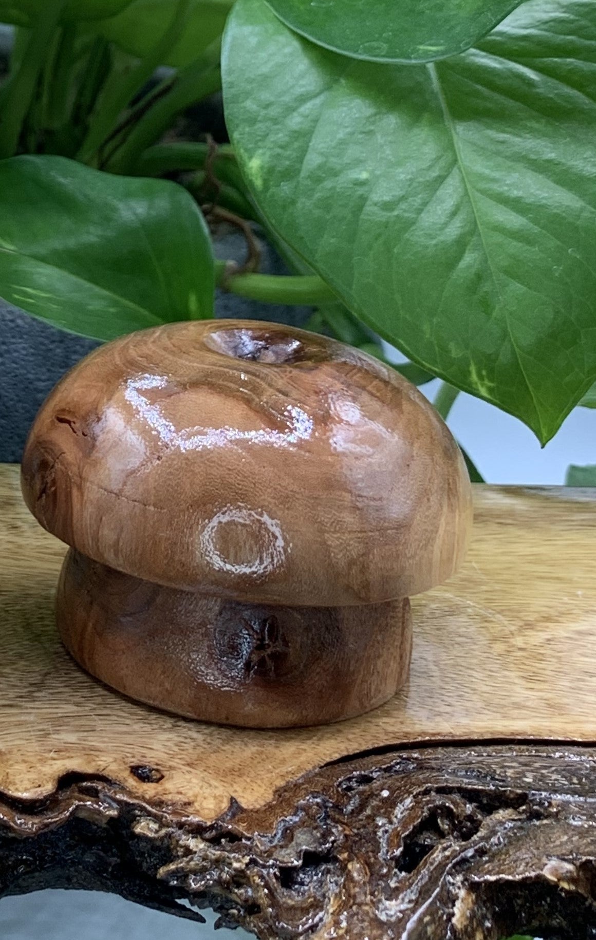 Wooden Mushroom Sphere Stand