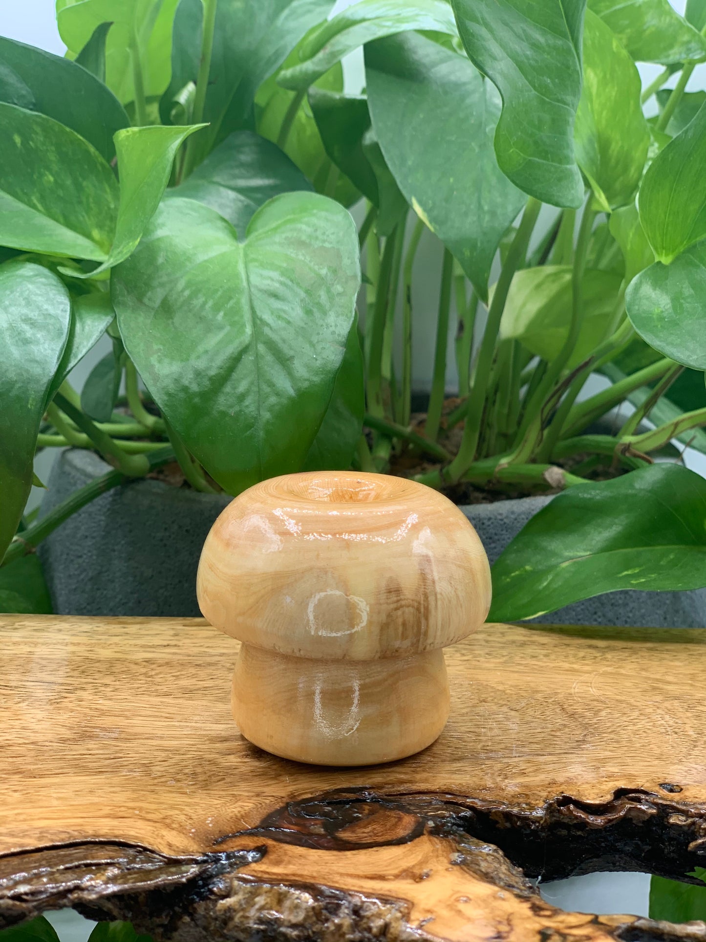 Wooden Mushroom Sphere Stand