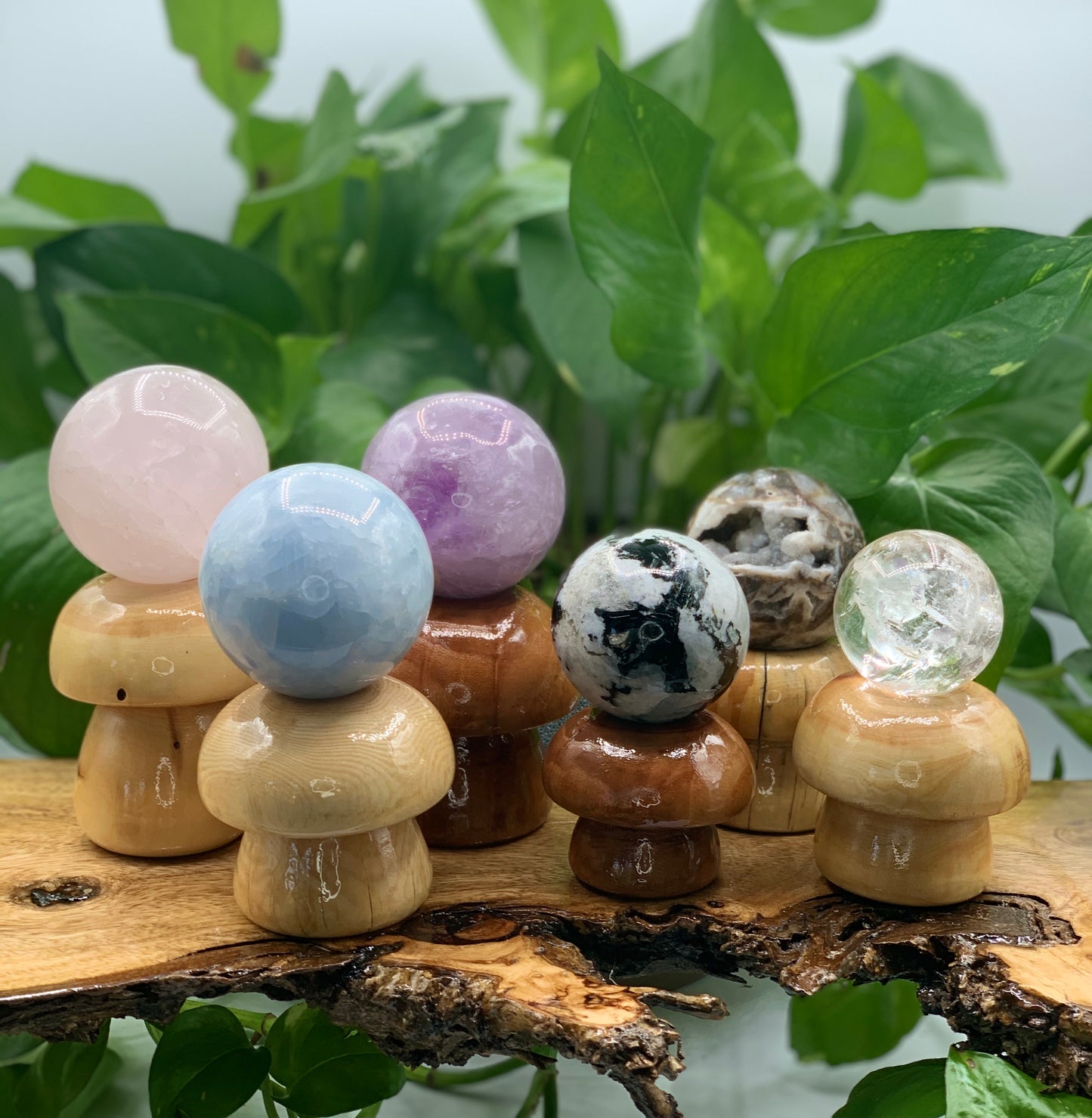 Wooden Mushroom Sphere Stand